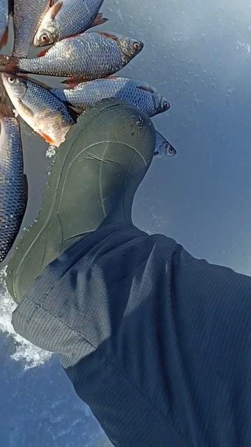 зимняя рыбалка смотреть онлайн