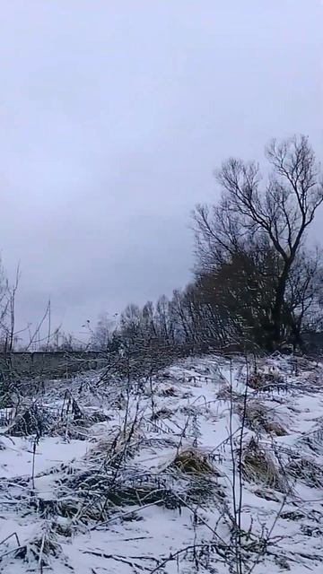 12 января 2025 г. смотреть онлайн