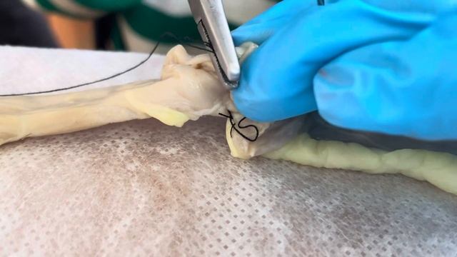 Шьем кишку в первый раз смотреть онлайн