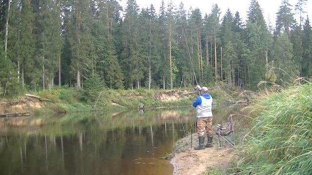 Рыбалка на реке Гауя. За белой рыбой. Поплавок Vs Фидер.