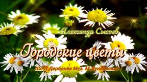 Александр Сысоев  ГОРОДСКИЕ  ЦВЕТЫ