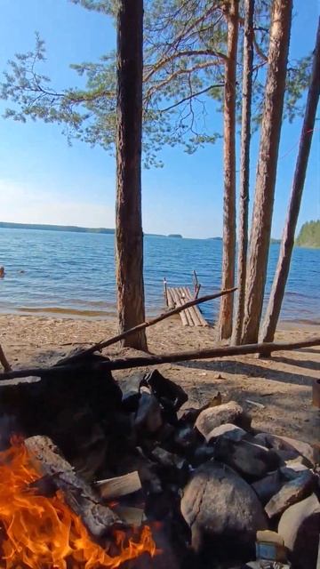 Отдыхаем на острове👍👍👍 #карелия #заонежье #природа смотреть онлайн