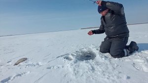 Зимняя рыбалка на р. Маныч! Отчет за 01.03.2025 год.