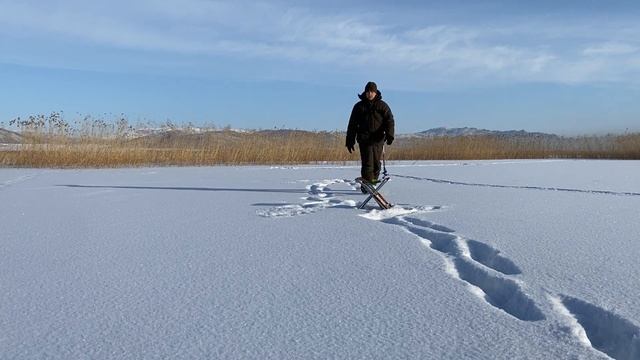 НА ЭТУ БЛЕСНУ КЛЮЕТ ОКУНЬ