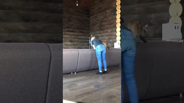 разминка не отходя от дивана 😊 смотреть онлайн