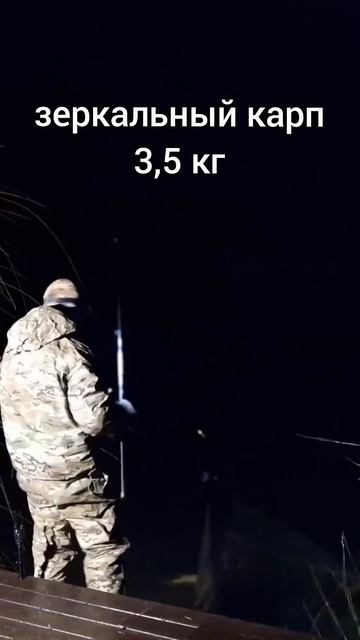 ПЕРВЫЙ КАРП СЕЗОНА 2025! carpbolo болонка ловлякарпа рыба?