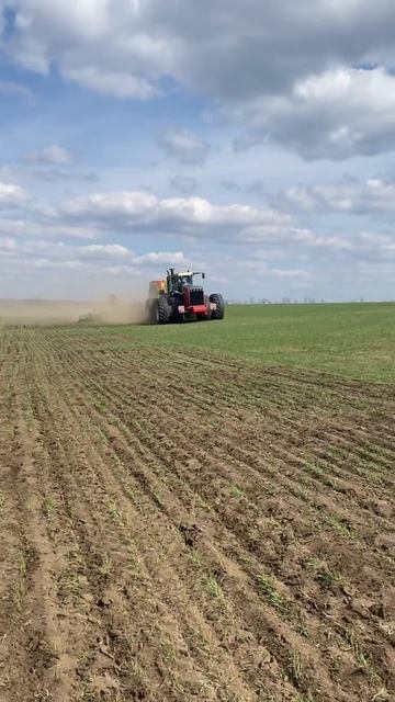 Внесение удобрений на RSM-2375  с сеялкой  Amazone  Citan12001-C смотреть онлайн