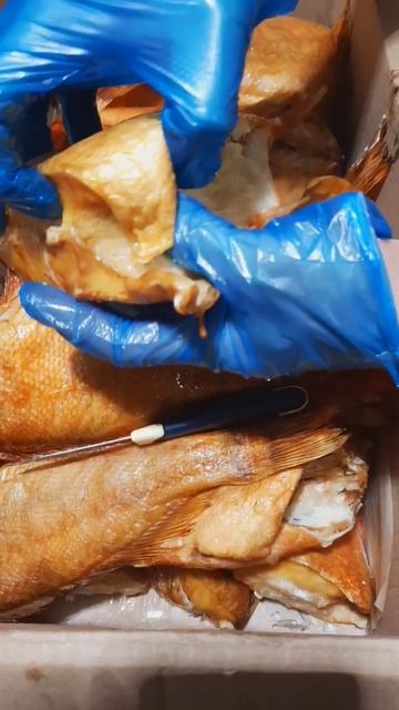 ОКУНЬ МОРСКОЙ В НОВОСИБИРСКЕ 🔥 ЖИРНЫЙ И ВКУСНЫЙ🤤 #2023 смотреть онлайн