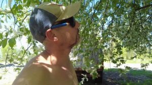 Отделка окон снаружи. Скоро годовщина после переезда! Жизнь в деревне после переезда.