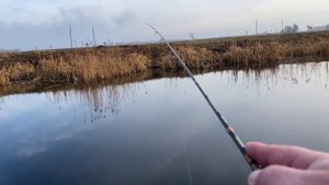 Спиннинг для мормышинга  Akara estetic