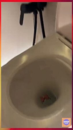 Опозорил на всю страну 👀 #юмор #прикол #смешнойшортс #рофл #позор #бабочки
