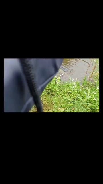 рыбалка на прудовую форель #рыбалка #рыба #fish #fishing #рыб? смотреть онлайн