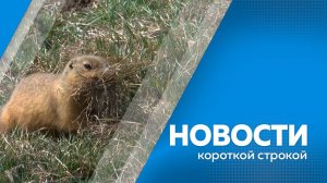 Новости короткой строкой 13.05.25