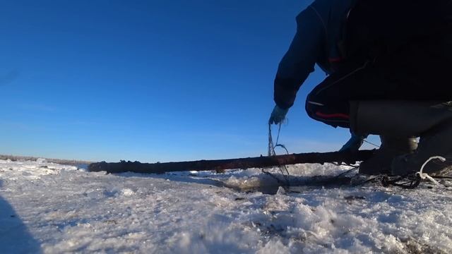 ОТЛИЧНО ЗАКРЫЛИСЬ ПО КАРАСЮ. ЗАПАСЛИСЬ НА ЗИМУ. смотреть онлайн