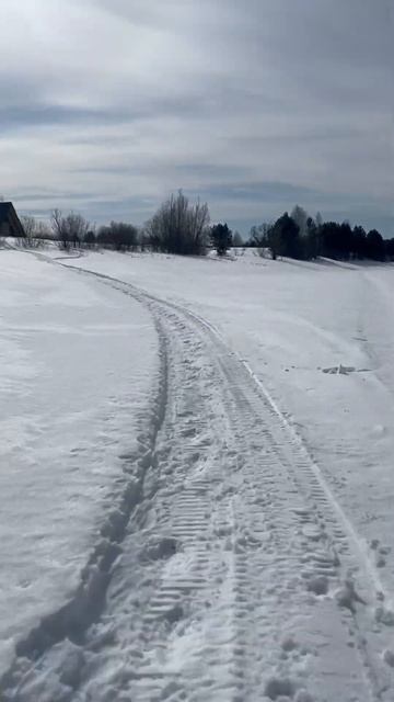 Тайга. Отдых. Природа. #любимоедело #природа #рыбалка #о смотреть онлайн