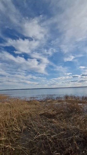 Плещеево озеро. Переяславль-Залесский #переяславльза? смотреть онлайн