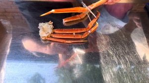 Разморозка краба и как правильно его есть😁расскажет