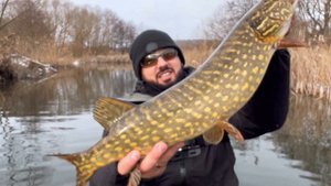 ЗЛІ ЩУКИ + ОГЛЯД Graphiteleader Silverado 23GSILS- 792m 5-20g