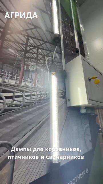 Лампы для коровников, свинарников и птичников.Система смотреть онлайн