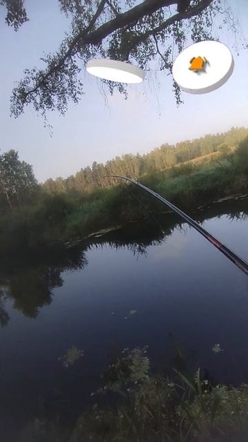 Щурок на малой реке #спининг #fishing #щука смотреть онлайн