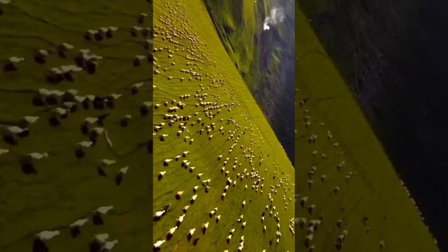 Стихотворение Заботливый Создатель. Сильные слова. Кр смотреть онлайн