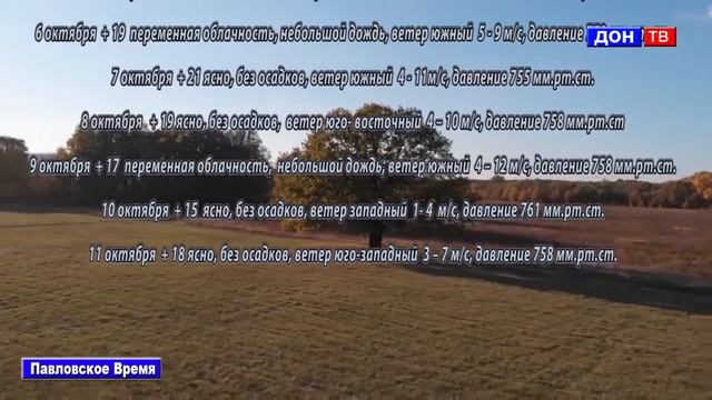 Погода 5-11 октября 2020. г. Павловск Воронежской обл смотреть онлайн