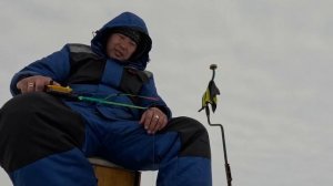 Рыбалка на Бухтарминском водохранилище