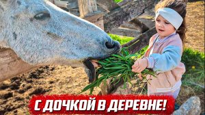 Видео из личной жизни | Бугурусланский р/н с.Благодаровка