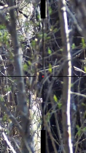 Прямо в цель 🎯 #страйкбол #military #страйкболказахстан #ar смотреть онлайн