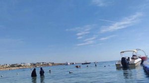 ШАРМ Эль шейх ПОГОДА 12 ноября 2024 #египет2024 #море #travel