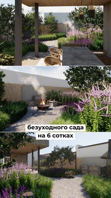Как создать малоуходный сад на 6 сотках и забыть про сл