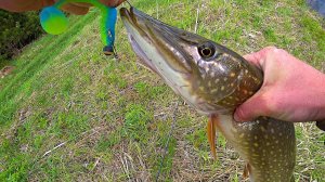 ЭТА ПРИМАНКА И ЕЕ ЦВЕТ ЛОВИТ КРУПНЫХ ЩУК. рыбалка на спиннинг