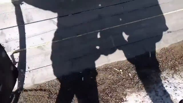 Vlog#1 - Отдых на турбазе смотреть онлайн