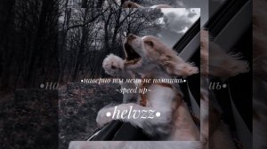•наверно ты меня не помнишь• ~speed up~