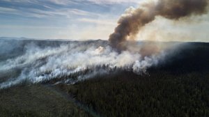 Тысячи гектаров леса уничтожены огнем. Пламя вплотную подобралось к дорогам. Пожары бушуют в Бурятии