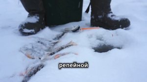 ЛУЧШИЕ секреты ловли ПЛОТВЫ в Декабре! Как поймать пло