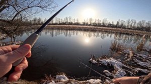 САМЫЙ КРУТОЙ ДЕШЕВЫЙ СПИННИНГ до 2000 р! Новинка FISHER от С