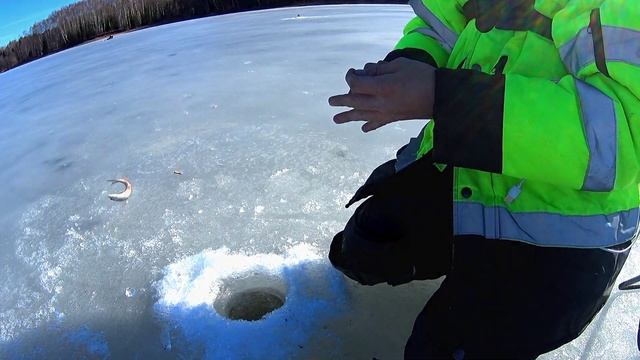 ЗАКРЫТИЕ СЕЗОНА 2024-2025 🔥!!! смотреть онлайн