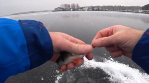 рыбалка 30.11.24 Белоярское водохранилище, лодочная