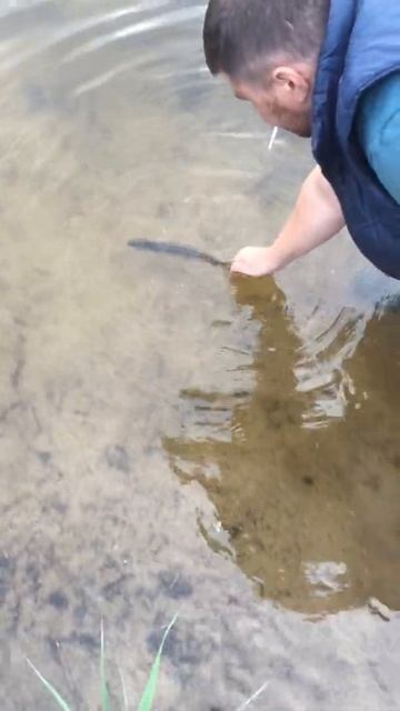 Отпускаем обратно смотреть онлайн