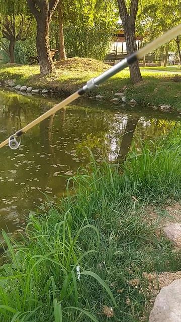 #зона отдыха#Golden fish group это место где можно половить ры смотреть онлайн