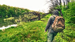 ДИКОЕ ЛЕСНОЕ ОЗЕРО УДИВИЛО КРАСОТОЙ И РЫБОЙ! Ловля щуки и Рыбалка на спиннинг в диких местах