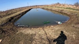 Ловля РАКОВ , бизнес на раках выгодно или нет ?