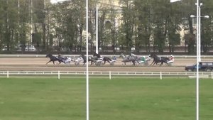 Московский ипподром. Бега. 27.09.15. Заезд 8(557). ДИСТАНЦИОННЫЙ ПРИЗ Г.МОСКВЫ
