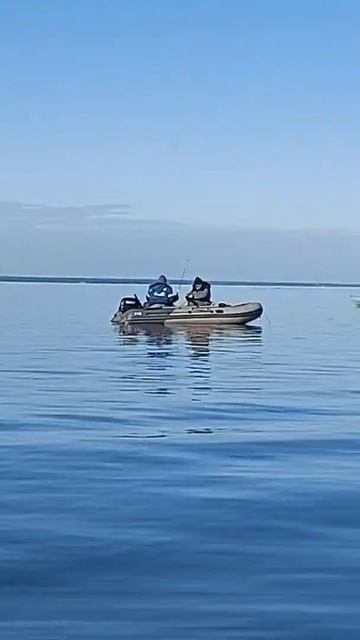 Финский залив. Ловля корюшки весной с лодки. 2023г. смотреть онлайн