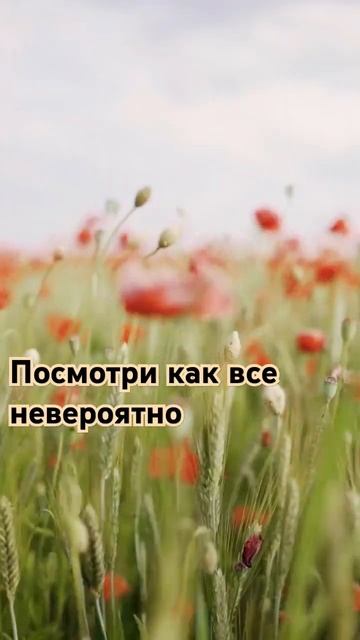 Все есть Бог! Телеграм @DreamsAnar #развитие #мировоззрение смотреть онлайн