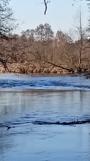 Магический звук переката, сколько тут голавля будет в смотреть онлайн