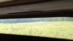Ритмичный стук колес / звеньевой путь / тайга и горы / из окна поезда / Байкало-амурская магистраль