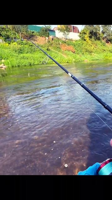 В этих местах стоит голавль #спиннинг #рыбалка #голавл? смотреть онлайн