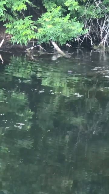 В холодный зимний вечер, не хватает теплого летнего ут смотреть онлайн